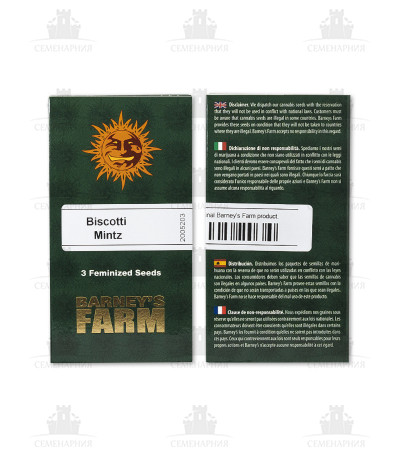 Biscotti Mintz fem (Barney's Farm) Biscotti Mintz fem (Barney's Farm) — изображение 2
