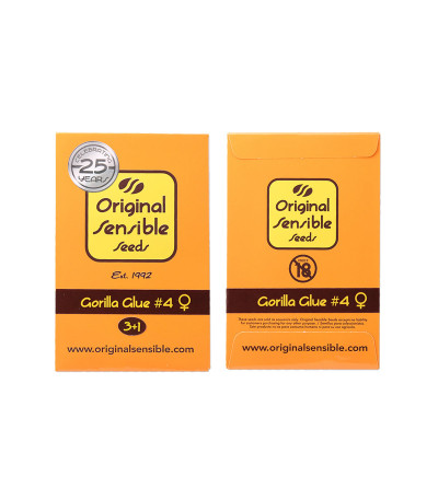 Семена сорта Gorilla Glue #4 fem (Original Sensible Seeds) Семена сорта Gorilla Glue #4 fem (Original Sensible Seeds) — изображение 2