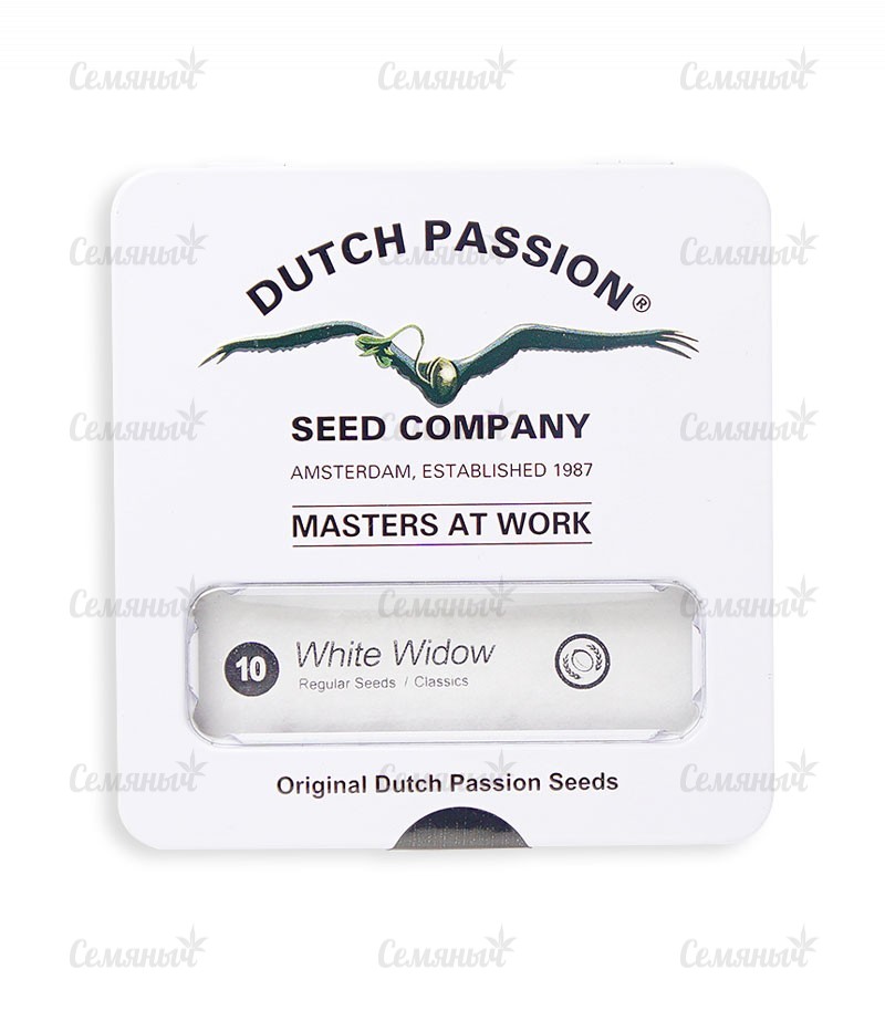 Семена сорта Original Cheese IBL (Paradise Seeds) Семена сорта Original Cheese IBL (Paradise Seeds) — изображение 2