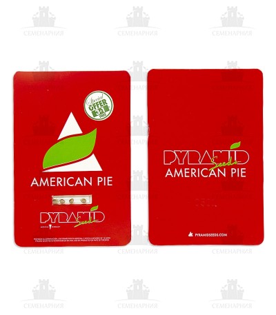 American Pie fem (Pyramid Seeds) American Pie fem (Pyramid Seeds) — изображение 2