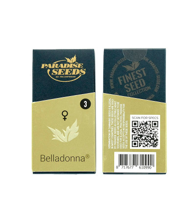 Семена сорта Belladonna fem (Paradise Seeds) Семена сорта Belladonna fem (Paradise Seeds) — изображение 2