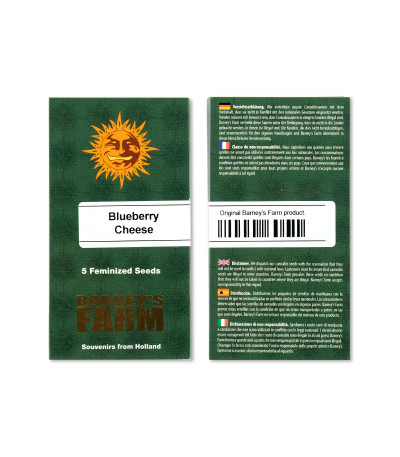 Blueberry Cheese Auto (Blue Cheese Auto) fem (Barney's Farm) Blueberry Cheese Auto (Blue Cheese Auto) fem (Barney's Farm) — изображение 3