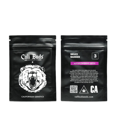 Bruce Banner Auto (Cali Buds Seeds) семена конопли Bruce Banner Auto (Cali Buds Seeds) семена конопли — изображение 2