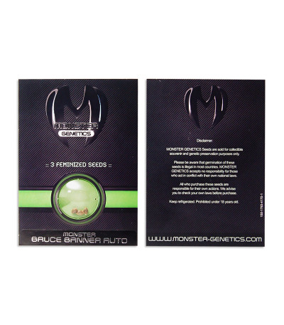Семена сорта Bruce Banner Auto fem (Monster Genetics) Семена сорта Bruce Banner Auto fem (Monster Genetics) — изображение 2