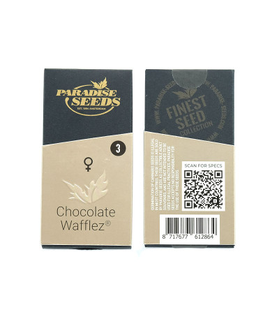 Семена сорта Chocolate Wafflez fem (Paradise Seeds) Семена сорта Chocolate Wafflez fem (Paradise Seeds) — изображение 2