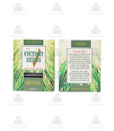 Critical fem (Victory Seeds) Critical fem (Victory Seeds) — изображение 2