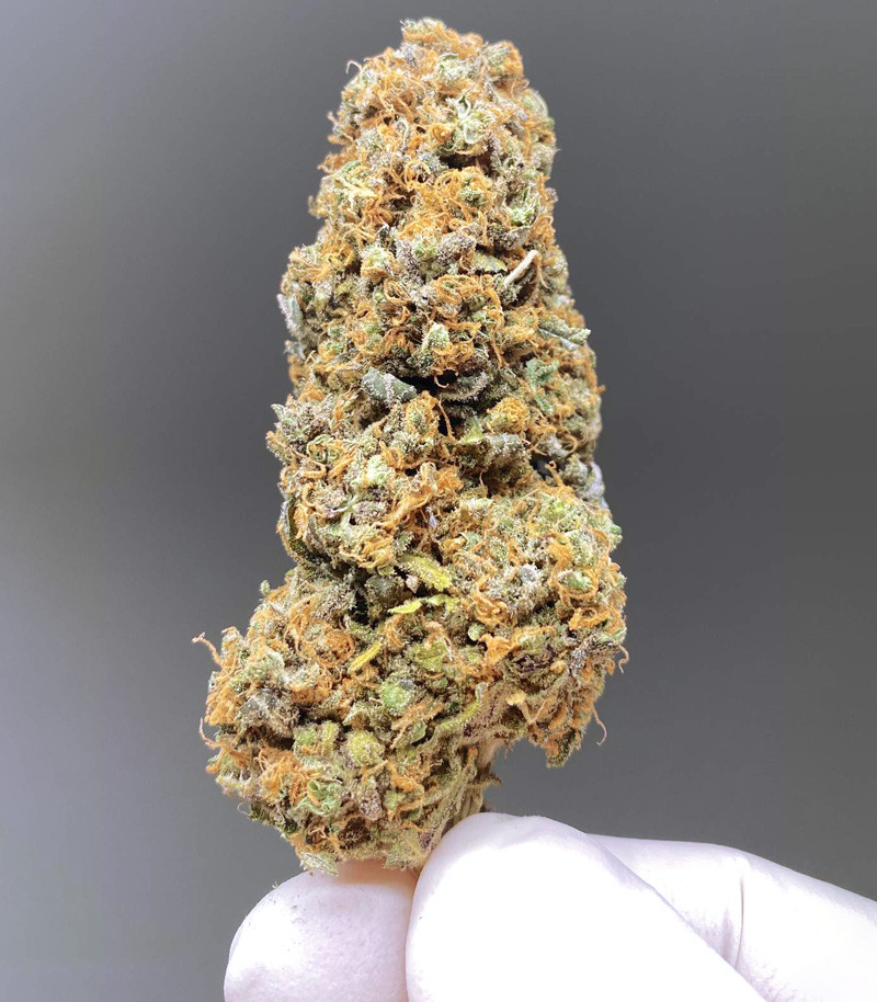 Lemon Tree fem (Barney's Farm) Lemon Tree fem (Barney's Farm) — изображение 6