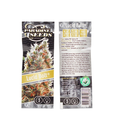 Семена сорта Lucid Bolt fem (Paradise Seeds) Семена сорта Lucid Bolt fem (Paradise Seeds) — изображение 2