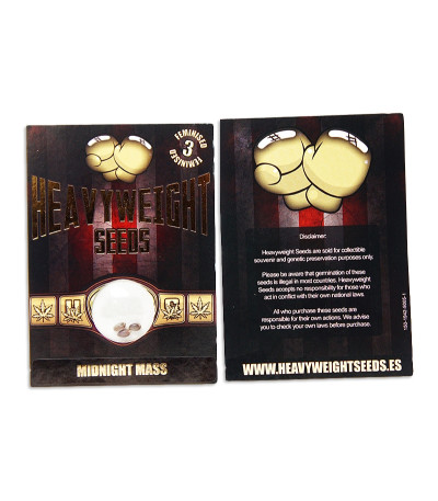 Midnight Mass fem (Heavyweight Seeds) Midnight Mass fem (Heavyweight Seeds) — изображение 2