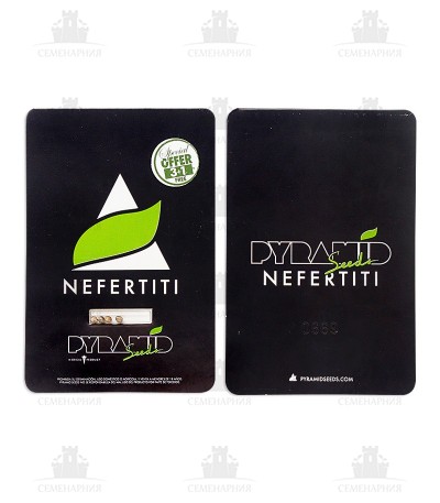 Nefertiti fem (Pyramid Seeds) Nefertiti fem (Pyramid Seeds) — изображение 3