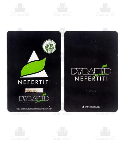 Nefertiti fem (Pyramid Seeds) Nefertiti fem (Pyramid Seeds) — изображение 4