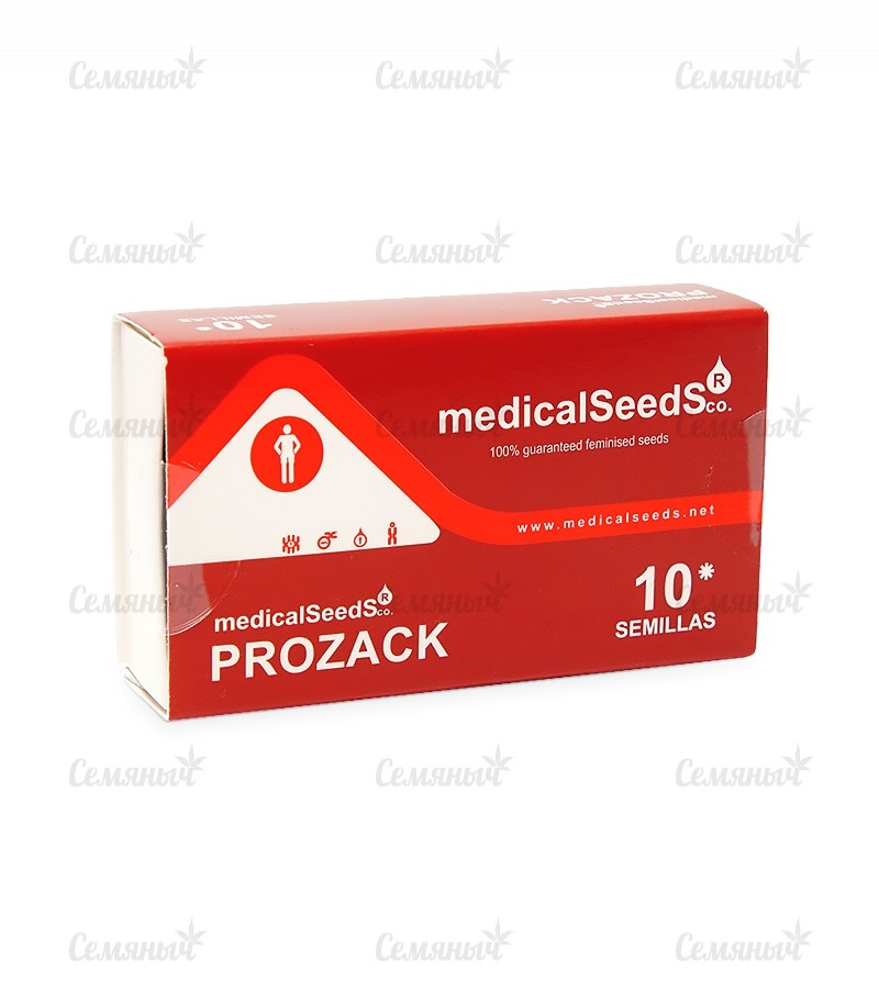 Семена сорта Psicodelicia (Sweet Seeds) Семена сорта Psicodelicia (Sweet Seeds) — изображение 4