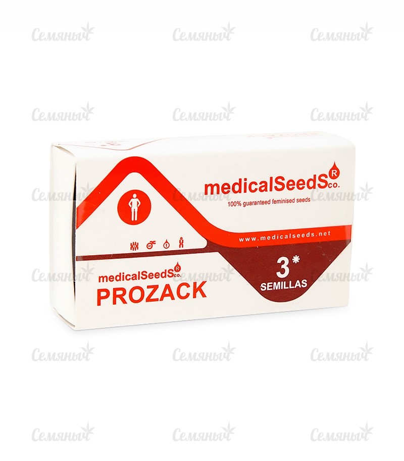Семена сорта Psicodelicia (Sweet Seeds) Семена сорта Psicodelicia (Sweet Seeds) — изображение 2