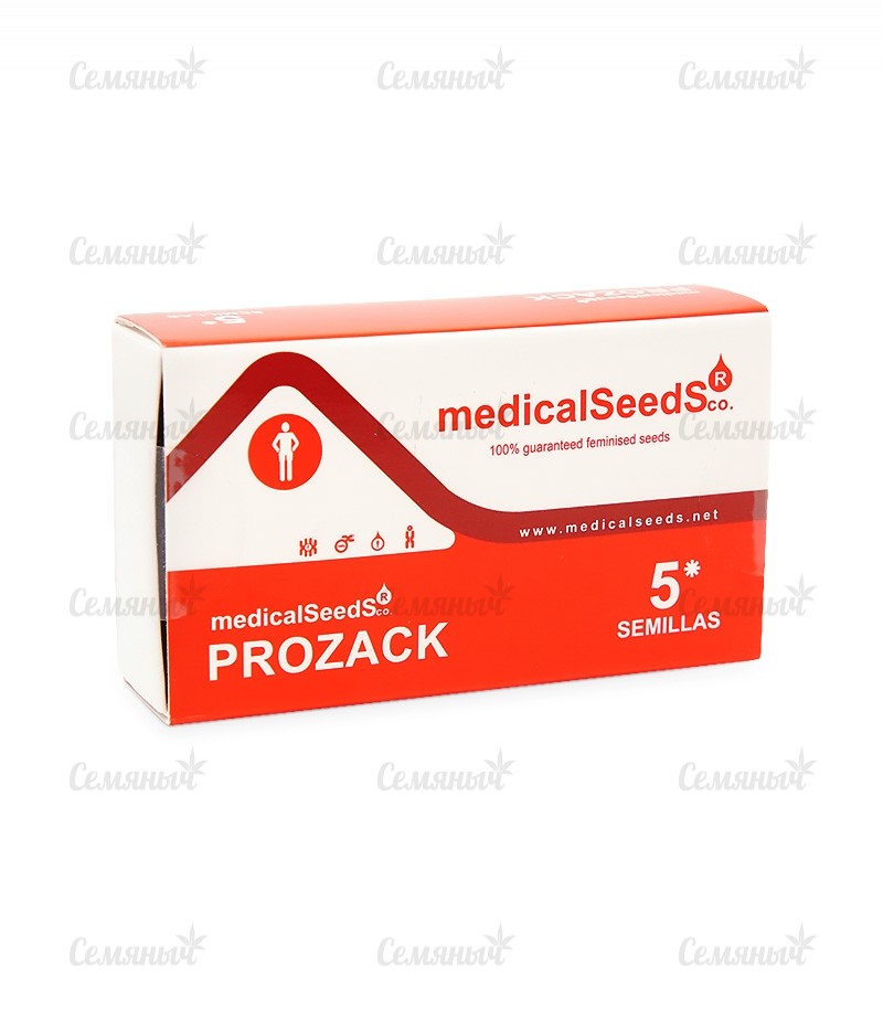 Семена сорта Psicodelicia (Sweet Seeds) Семена сорта Psicodelicia (Sweet Seeds) — изображение 3