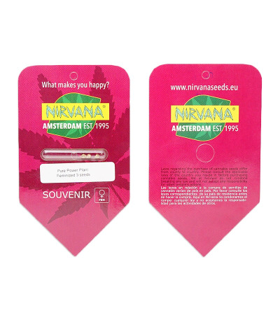 Семена сорта Pure Power Plant fem (Nirvana Seeds) Семена сорта Pure Power Plant fem (Nirvana Seeds) — изображение 2