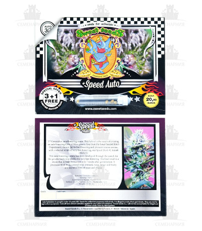 Сорт + Speed Auto fem (Sweet Seeds) Сорт + Speed Auto fem (Sweet Seeds) — изображение 3