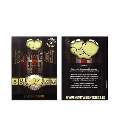 Tropic Punch fem (Heavyweight Seeds) Tropic Punch fem (Heavyweight Seeds) — изображение 2