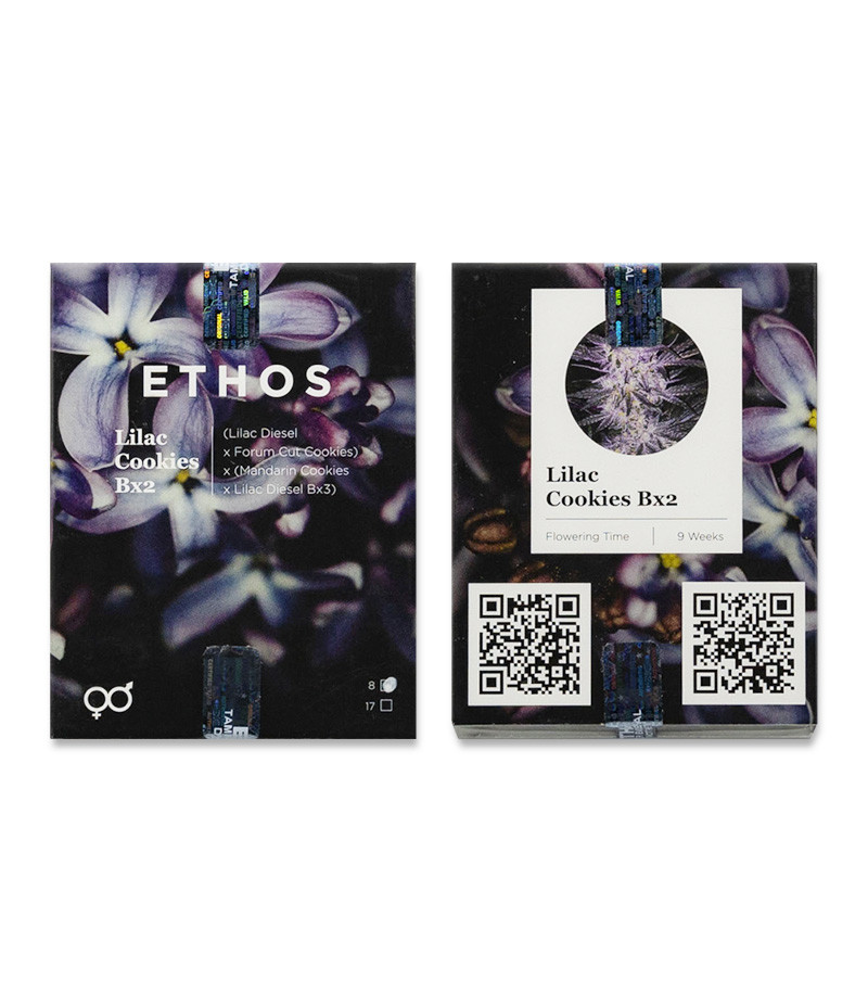 Сорт Lilac Cookies Bx2 reg (Ethos Genetics) Сорт Lilac Cookies Bx2 reg (Ethos Genetics)