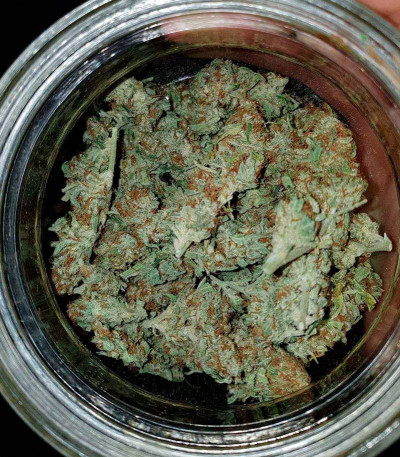 Сорт Super Lemon Haze Auto fem (GHS) Сорт Super Lemon Haze Auto fem (GHS) — изображение 3
