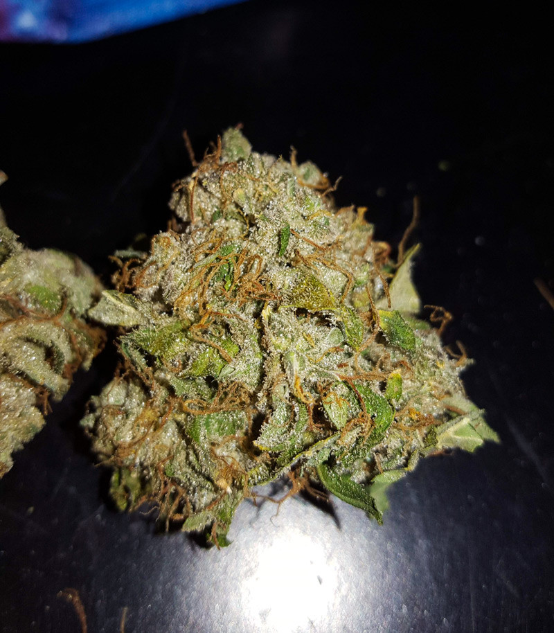 Сорт Auto White Widow fem (Pyramid Seeds) Сорт Auto White Widow fem (Pyramid Seeds) — изображение 5