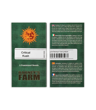 Сорт Critical Kush fem (Barney's Farm) Сорт Critical Kush fem (Barney's Farm) — изображение 2