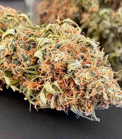 Сорт Gelato Auto fem (Herbies Seeds) Сорт Gelato Auto fem (Herbies Seeds) — изображение 3