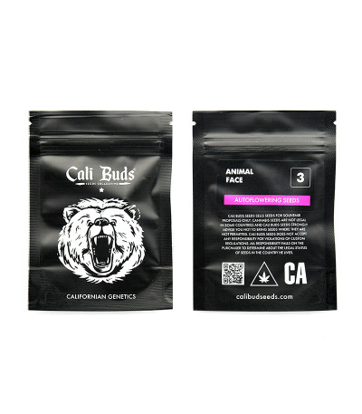 Сорт Animal Face Auto fem (Cali Buds Seeds) Сорт Animal Face Auto fem (Cali Buds Seeds) — изображение 2