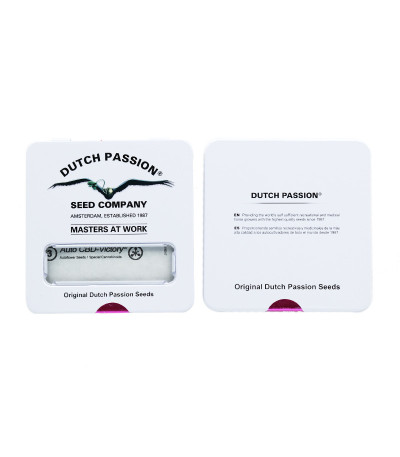 Сорт Auto CBD-Victory fem (Dutch Passion) Сорт Auto CBD-Victory fem (Dutch Passion) — изображение 2
