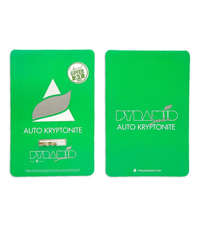 Сорт Auto Kryptonite fem (Pyramid Seeds) Сорт Auto Kryptonite fem (Pyramid Seeds) — изображение 3