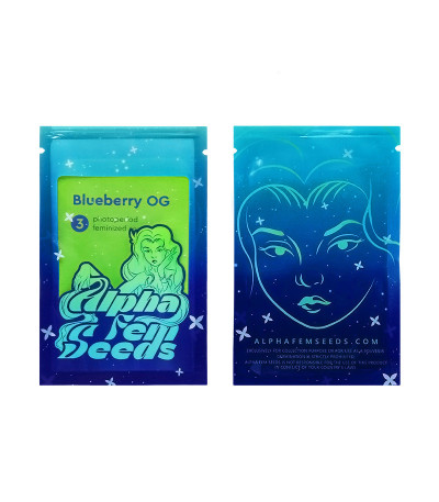 Сорт Blueberry OG fem (AlphaFem Seeds) Сорт Blueberry OG fem (AlphaFem Seeds) — изображение 2