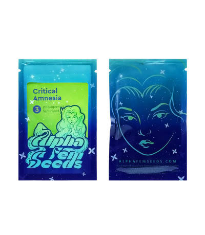 Сорт Critical Amnesia fem (AlphaFem Seeds) Сорт Critical Amnesia fem (AlphaFem Seeds) — изображение 2