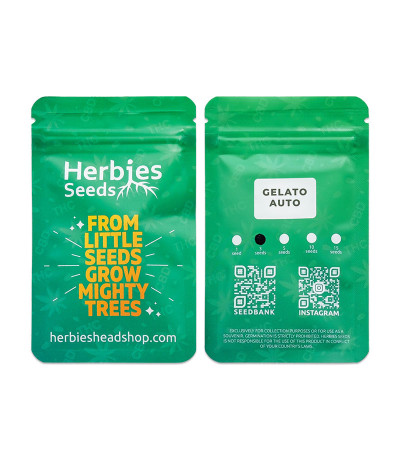 Сорт Gelato Auto fem (Herbies Seeds) Сорт Gelato Auto fem (Herbies Seeds) — изображение 2