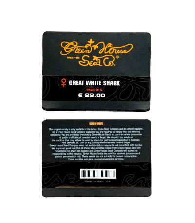 Сорт Great White Shark fem (GHS) Сорт Great White Shark fem (GHS) — изображение 2