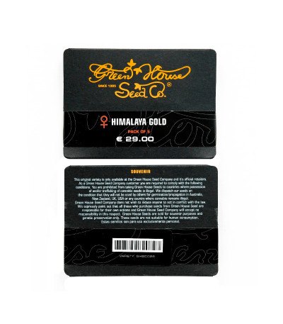 Сорт Himalaya Gold fem (GHS) Сорт Himalaya Gold fem (GHS) — изображение 2