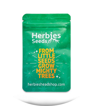 Сорт Za-Za OG fem (Herbies Seeds) Сорт Za-Za OG fem (Herbies Seeds) — изображение 2