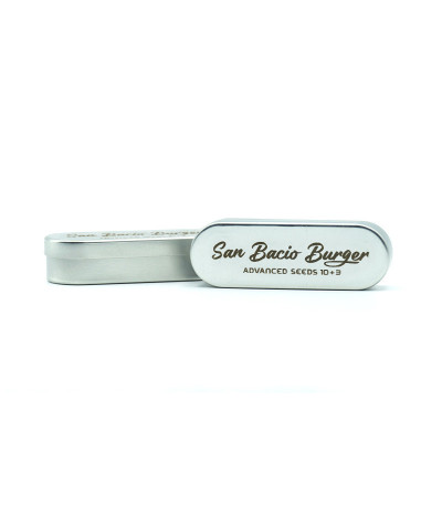 Сорт San Bacio Burger fem (Advanced Seeds) Сорт San Bacio Burger fem (Advanced Seeds) — изображение 2