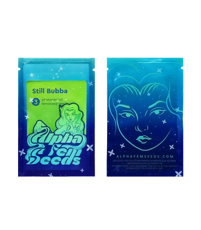 Сорт Still Bubba fem (AlphaFem Seeds) Сорт Still Bubba fem (AlphaFem Seeds) — изображение 2