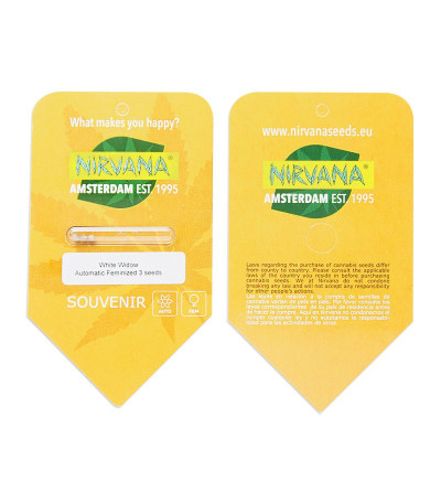Сорт White Widow Automatic fem (Nirvana Seeds) Сорт White Widow Automatic fem (Nirvana Seeds) — изображение 2