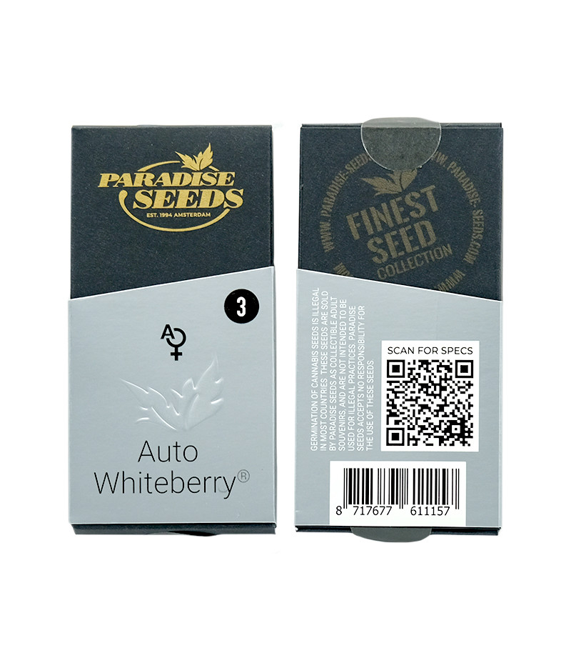 Сорт Auto Whiteberry fem (Paradise Seeds) Сорт Auto Whiteberry fem (Paradise Seeds) — изображение 2