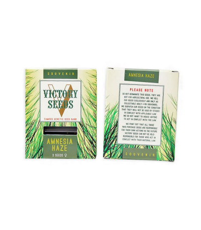 Сорт Amnesia Haze fem (Victory Seeds) Сорт Amnesia Haze fem (Victory Seeds) — изображение 2