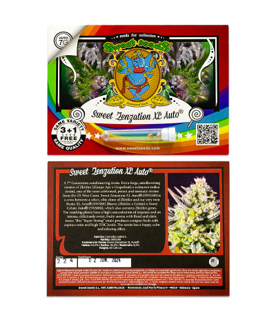 Сорт Sweet Zenzation XL Auto fem (Sweet Seeds) Сорт Sweet Zenzation XL Auto fem (Sweet Seeds) — изображение 2