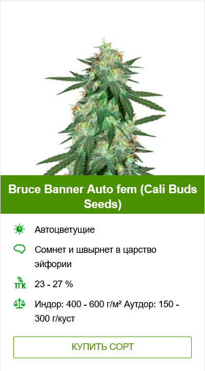 Выращивание конопли в аутдоре