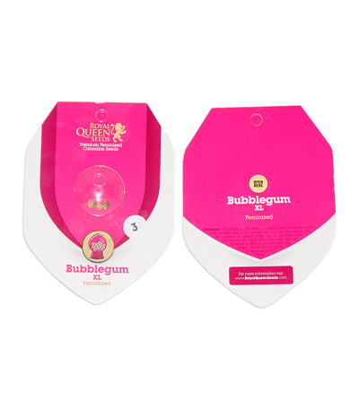 Сорт Bubblegum XL fem (RQS) Сорт Bubblegum XL fem (RQS) — изображение 2