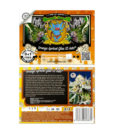 Сорт Orange Apricot Glue XL Auto fem (Sweet Seeds) Сорт Orange Apricot Glue XL Auto fem (Sweet Seeds) — изображение 2