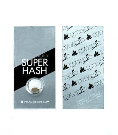 Сорт Auto Super Hash fem (Pyramid Seeds) Сорт Auto Super Hash fem (Pyramid Seeds) — изображение 2