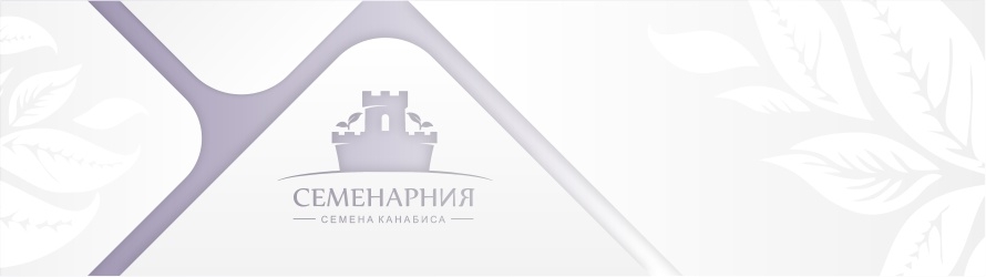 О компании