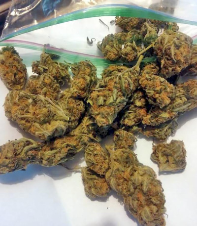 Сорт Stardawg Auto fem (FastBuds) Сорт Stardawg Auto fem (FastBuds) — изображение 3
