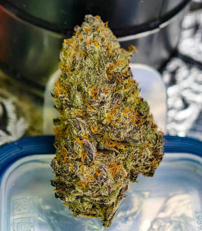 Сорт Purple Punch F1 fem (Seedkeepers) Сорт Purple Punch F1 fem (Seedkeepers) — изображение 8