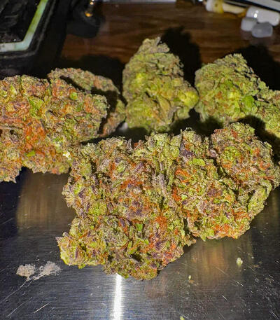 Сорт RudeBoi OG F1 fem (Seedkeepers) Сорт RudeBoi OG F1 fem (Seedkeepers) — изображение 5