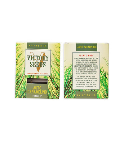 Сорт Auto Caramelino fem (Victory Seeds) Сорт Auto Caramelino fem (Victory Seeds) — изображение 2